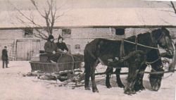 Familie Bergmann Gunstnik